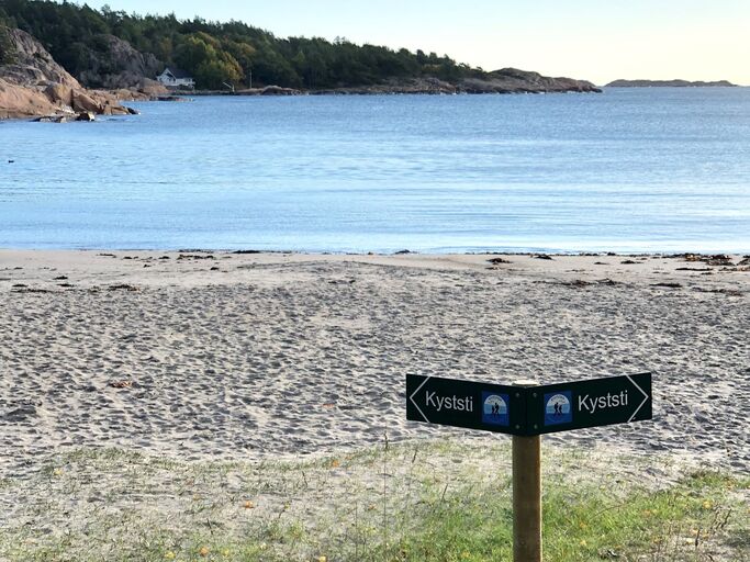 Stier på Sørlandet
