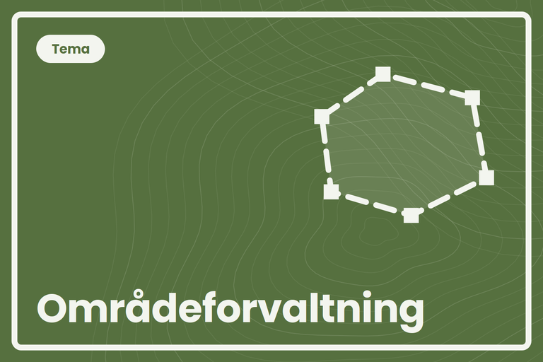 Områdeforvaltning